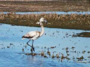 528305_192070590909864_1504124387_n