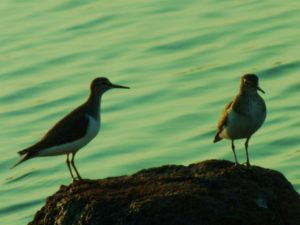 396820_249069038543352_1352675054_n